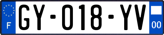 GY-018-YV