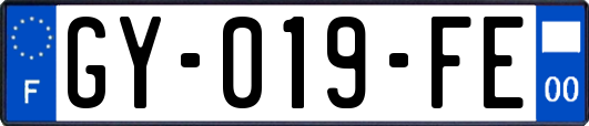 GY-019-FE