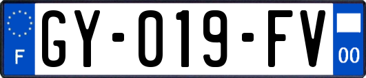 GY-019-FV