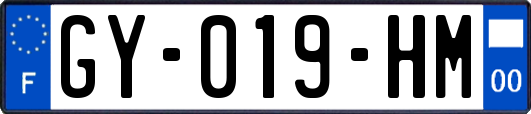 GY-019-HM