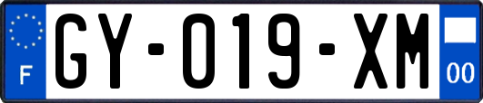 GY-019-XM