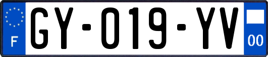 GY-019-YV