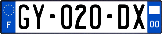 GY-020-DX