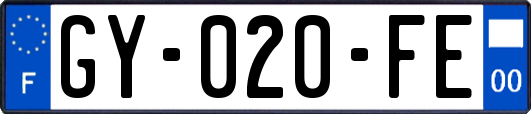 GY-020-FE