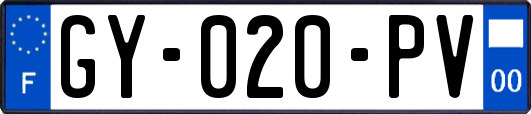 GY-020-PV