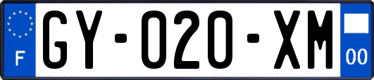 GY-020-XM