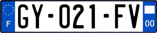 GY-021-FV
