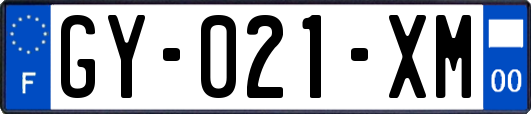 GY-021-XM