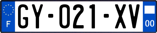 GY-021-XV