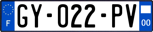 GY-022-PV