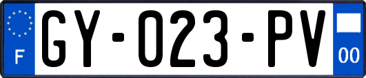 GY-023-PV