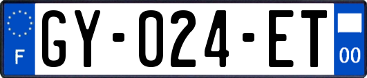 GY-024-ET