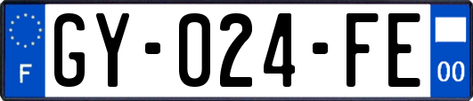 GY-024-FE