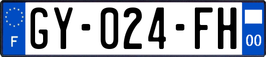 GY-024-FH