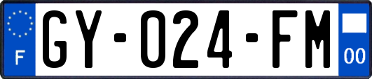 GY-024-FM