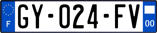 GY-024-FV