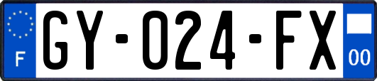 GY-024-FX