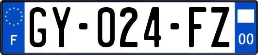 GY-024-FZ