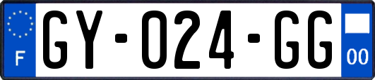 GY-024-GG