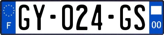 GY-024-GS
