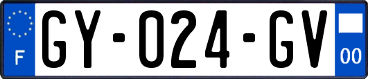 GY-024-GV