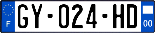 GY-024-HD