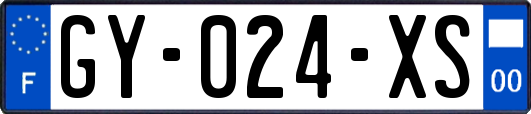 GY-024-XS