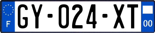 GY-024-XT