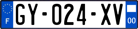 GY-024-XV