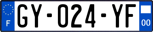 GY-024-YF