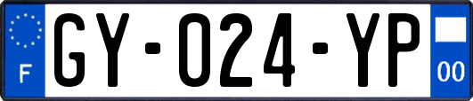 GY-024-YP