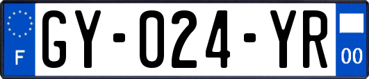 GY-024-YR
