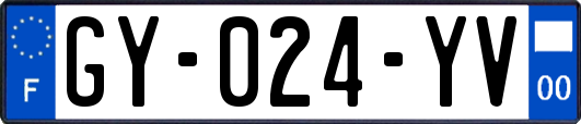 GY-024-YV