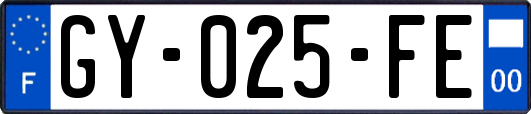 GY-025-FE