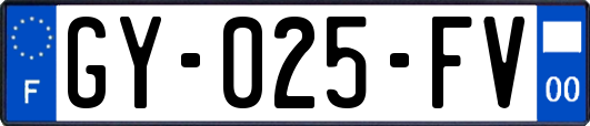 GY-025-FV
