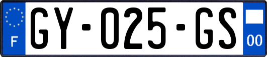 GY-025-GS