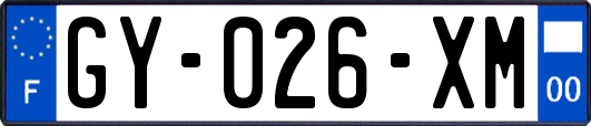 GY-026-XM