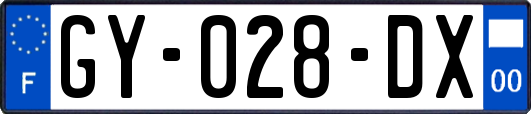 GY-028-DX
