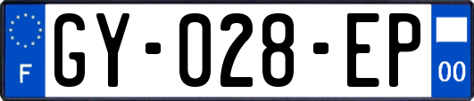 GY-028-EP