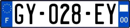 GY-028-EY