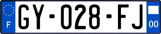 GY-028-FJ