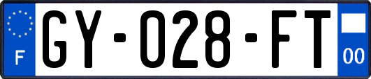 GY-028-FT