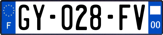 GY-028-FV