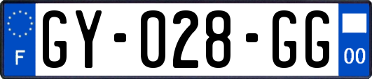 GY-028-GG