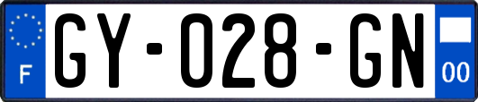 GY-028-GN
