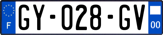 GY-028-GV