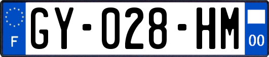 GY-028-HM