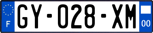 GY-028-XM