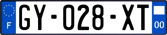GY-028-XT