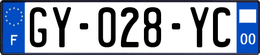GY-028-YC